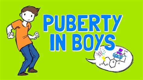 young boner|Stages of Puberty Explained in Pictures